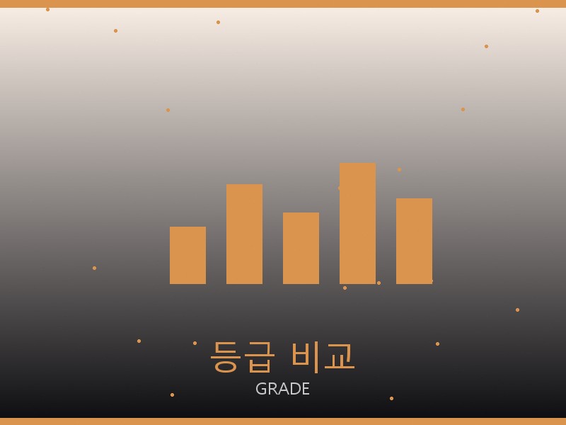 미우미우 레플리카 사이트 등급 기준 비교